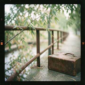 望岗折柳