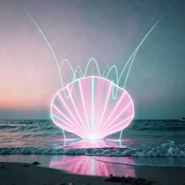 海螺里藏爱