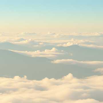 向云端