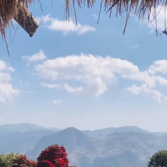 空荡的四季