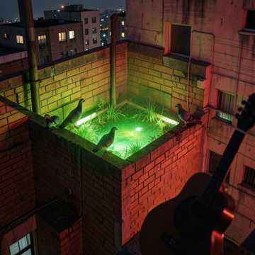 Concrete Jungle Oasi
