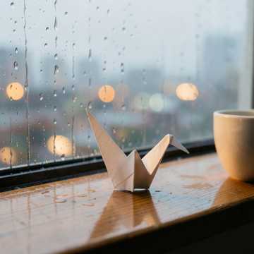雨落归期