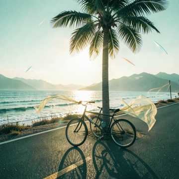 自由的味道3-版本2