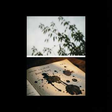 风与少年歌-版本2