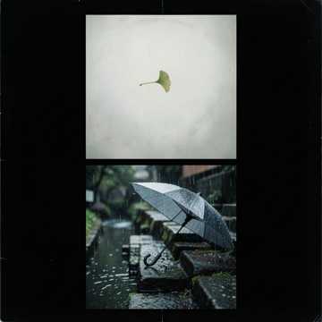 江南一场梧桐雨