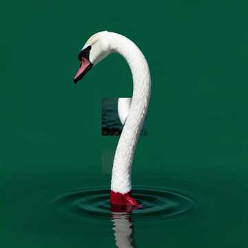 咏·鹅 (Swan Flow)