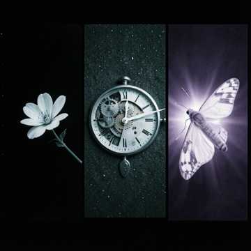 明知-版本2