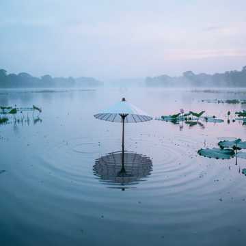 残荷听雨