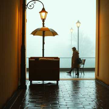 梧桐听雨声