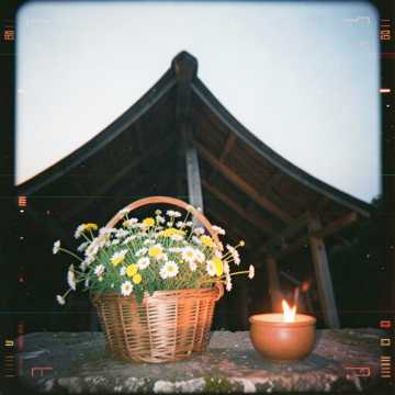 《山栏花儿开》-版本2