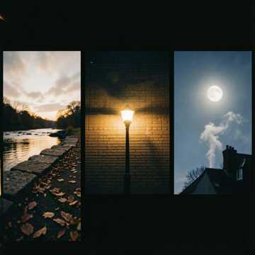关于晚晚-版本2