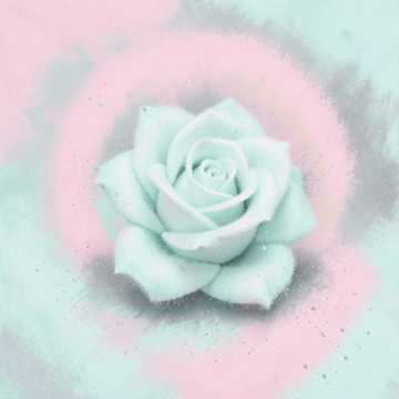 生日快乐，亲爱的你