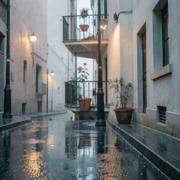 那场雨后的缺口