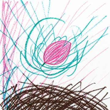 Petal in Collision