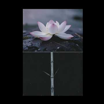 错遇