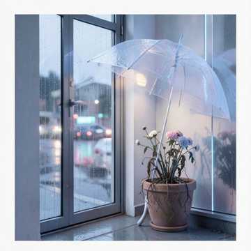 雨停在门口