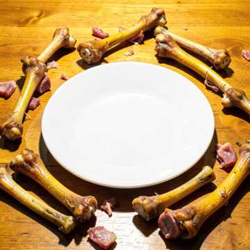 鸭骨大作战
