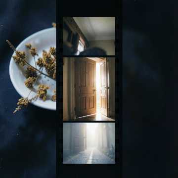 榴莲自助的狂欢