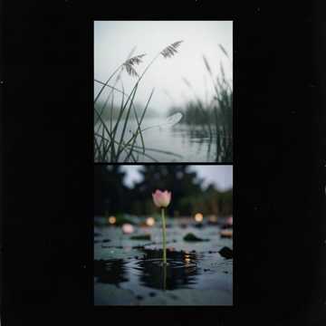 羽畔迟归-版本2-版本2