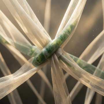 Jade Thread Variations-版本2