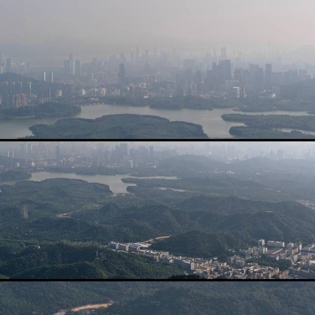 尘缘渡