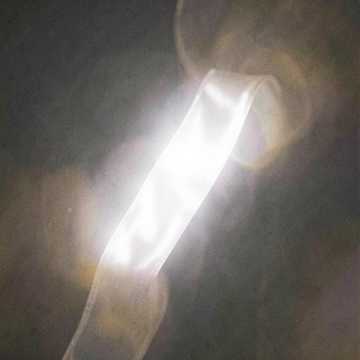 不知名的白月光
