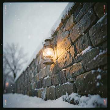 别来无恙落雪时