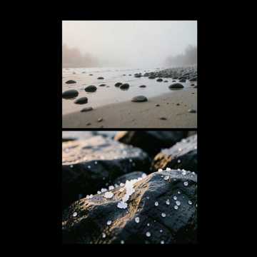 Salt in the Tide-版本2
