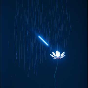 坠雨星河