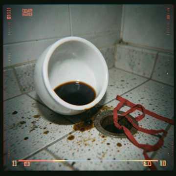 喂狗的心