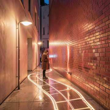 橡树下的心跳