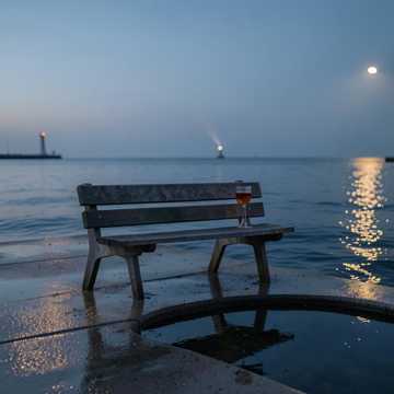 海风不回头