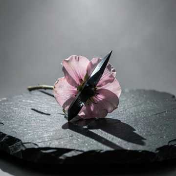 葬花词里见刀光