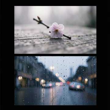 遥问风轻问雨