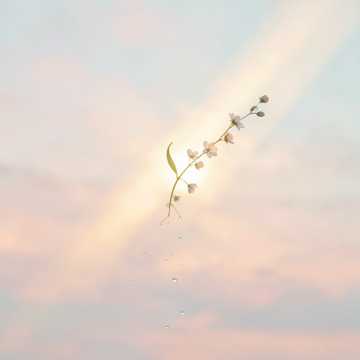 Softly Shine（微光正好）