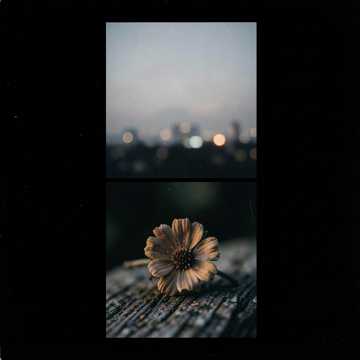就当缘散在微风里-版本2