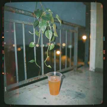 借夏夜一宿