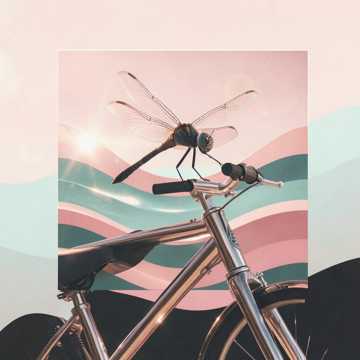 踏浪少年裳