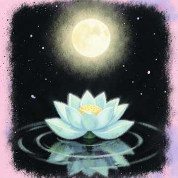 Moon Over Lotus Bridge-版本2