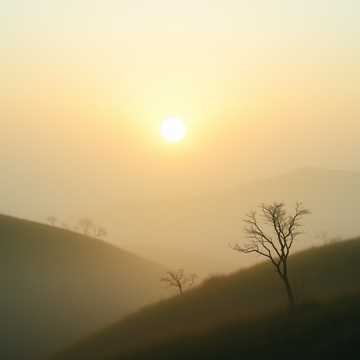 破晓长夜