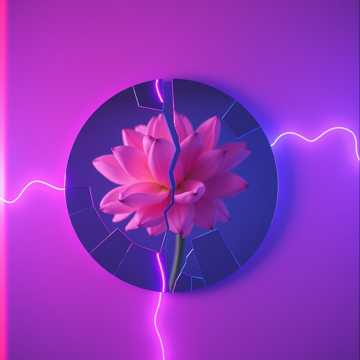 镜中花的裂痕