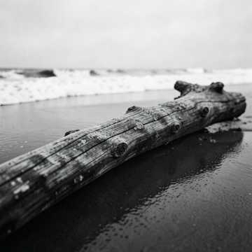 海