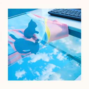 眉眼间的夏天