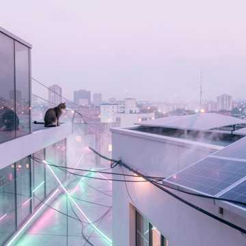 夏夜晚风-版本2