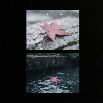红叶渡-版本2