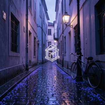 紫花巷的雨季