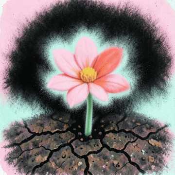 汗水开出的花