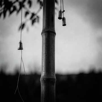 Twilight