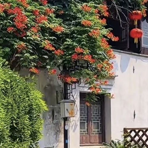 乡愁的老屋