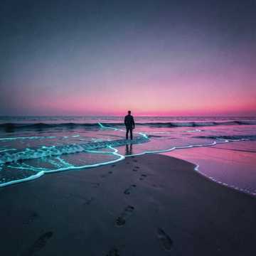 黄昏荧光海